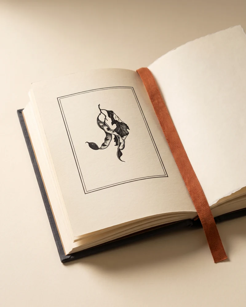 A Field Guide to Digital Products